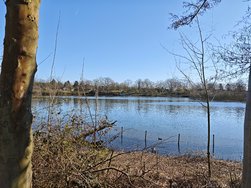 IMG_20250317_152836.jpg