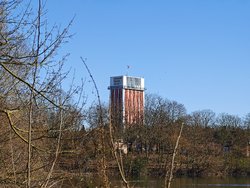 IMG_20250317_152911.jpg