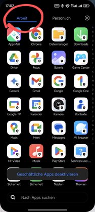Screenshot_2025-03-17-17-02-13-445_com.miui.home~2.jpg