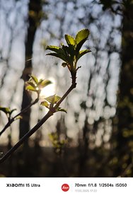 IMG_20250317_172218.jpg