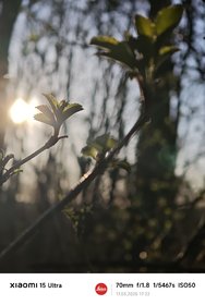 IMG_20250317_172244.jpg