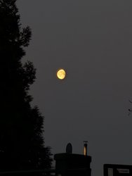 PXL_20250318_052357744.jpg