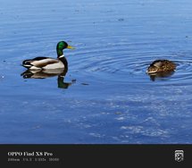 IMG_20250318_122322.jpg