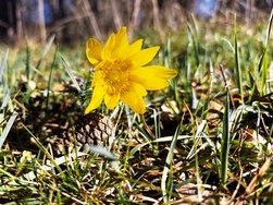 IMG_20250318_083735-Verbessert-RR-2.jpg