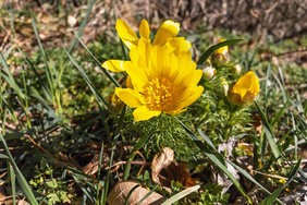 IMG_20250318_084112.jpg
