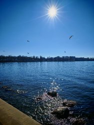 IMG_20250318_152846.jpg
