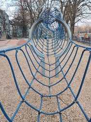 IMG_20250310_173541.jpg
