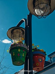 IMG_20250317_124512.jpg