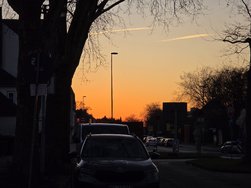 20250318_184352.jpg