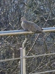 IMG_20250316_162149~2.jpg