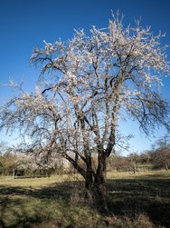 IMG_20250318_091547.jpeg