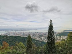 20250314_125925 (1) (1).JPG