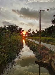 20250315_191115 (1) (1).JPG