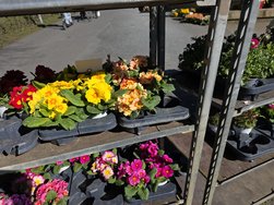 20250319_125024.jpg