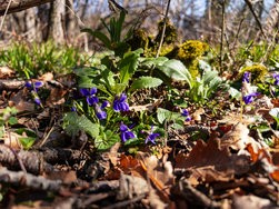 IMG_20250318_091951-Verbessert-RR.jpg