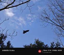 IMG_20250316_155235.jpg