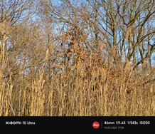 IMG_20250319_173041.jpg
