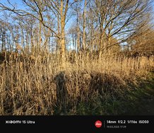 IMG_20250319_172948.jpg