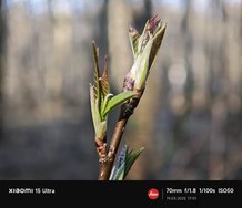 IMG_20250319_170140.jpg