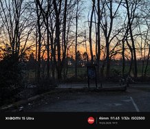 IMG_20250319_191131.jpg