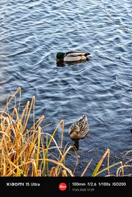 IMG_20250317_172902.jpg