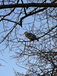 IMG_20250319_170913.jpg