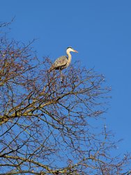 IMG_20250319_170246.jpg