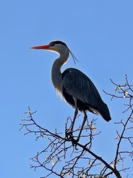 IMG_20250319_165956.jpg