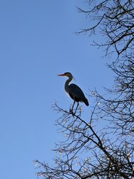 IMG_20250319_165905.jpg