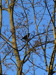 IMG_20250318_172022.jpg