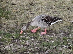 IMG_20250318_165956.jpg