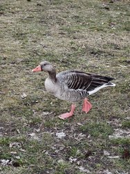 IMG_20250318_165953.jpg