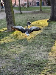 IMG_20250318_165713.jpg