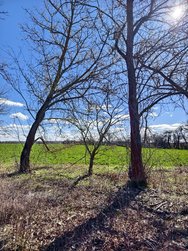IMG_20250317_130533.jpg
