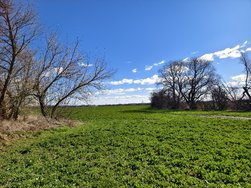 IMG_20250317_125335.jpg