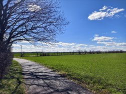 IMG_20250317_123302.jpg