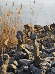 IMG_20250309_163304.jpg