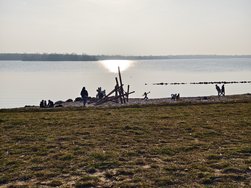 IMG_20250309_162004.jpg