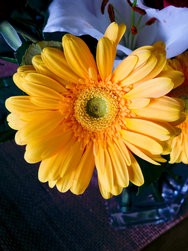 IMG_20250320_072118.jpg