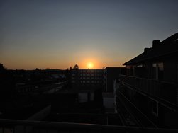 20250319_182322.jpg