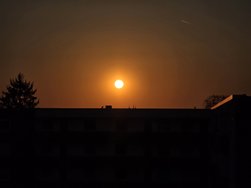 20250319_182326.jpg