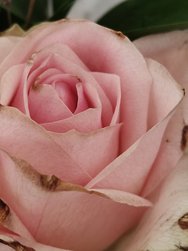 IMG20250320084047.jpg