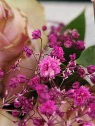 IMG20250320084514.jpg