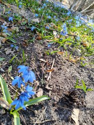 IMG20250320113225.jpg