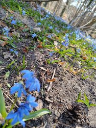 IMG20250320113228.jpg