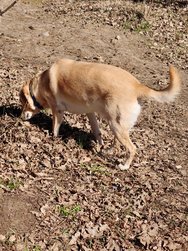 IMG20250320113635.jpg