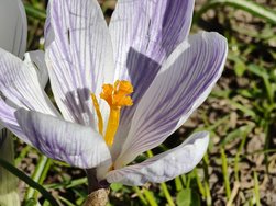 IMG20250320114716.jpg