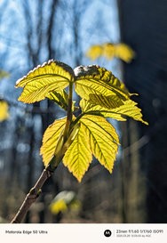 Gcam20250320_130555209.jpg