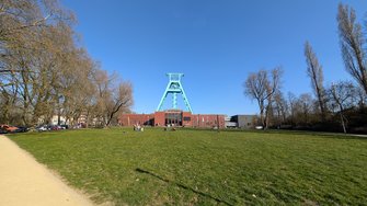 PXL_20250320_145427082.MP.jpg