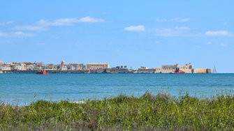 PSX_20250320_194959.jpg
